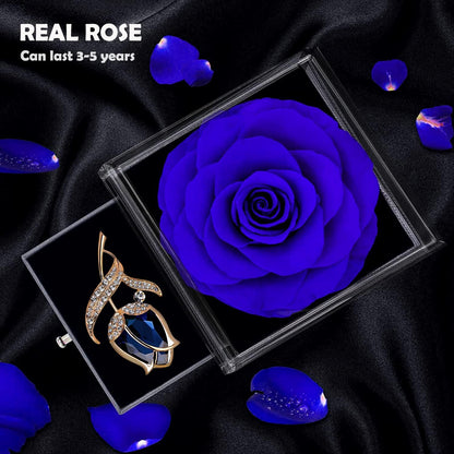 Preserved Rose Gift Enchanted Real Blue Rose with Sapphire Brooch, Eternal Flower Rose, Handmade Rose in Box with Pin, Forever Blue Rose Gift for Her on Mother'S Day, Birthday.